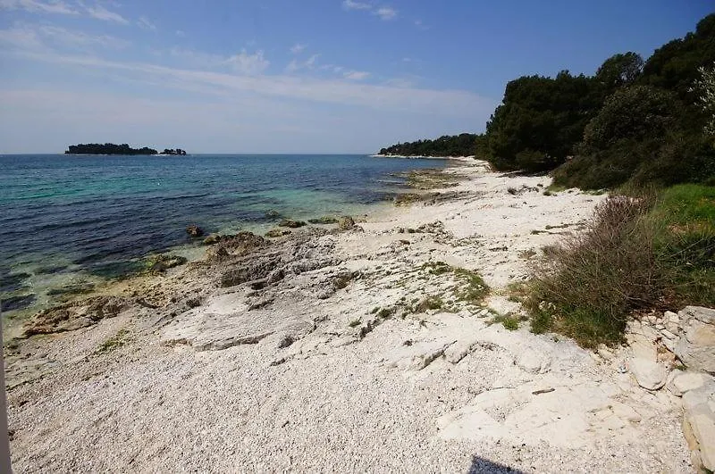 Penzion Room In Rovinj With Terrace, Air Conditioning, W-Lan 81-7