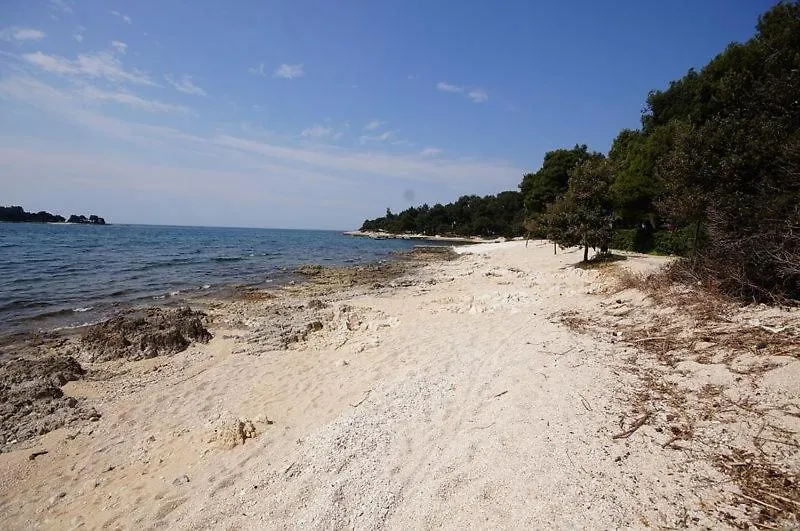 Room In Rovinj With Terrace, Air Conditioning, W-Lan 81-7 0*,  Chorvatsko