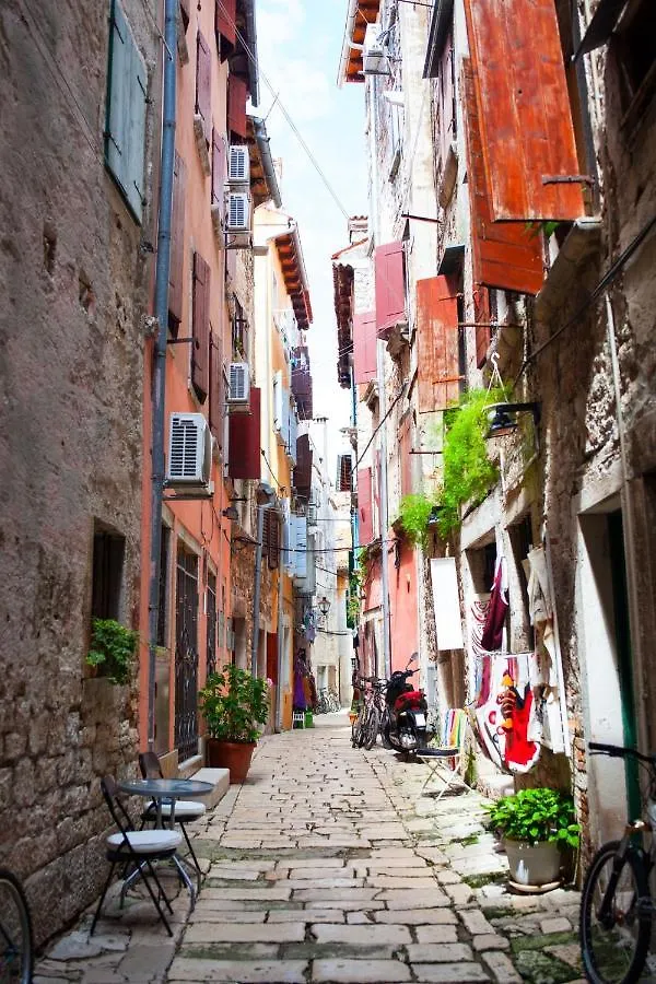 Penzion Room In Rovinj With Terrace, Air Conditioning, W-Lan 81-7